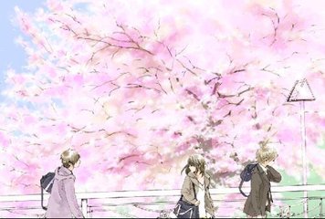 伊甸园2020最新入口大象
